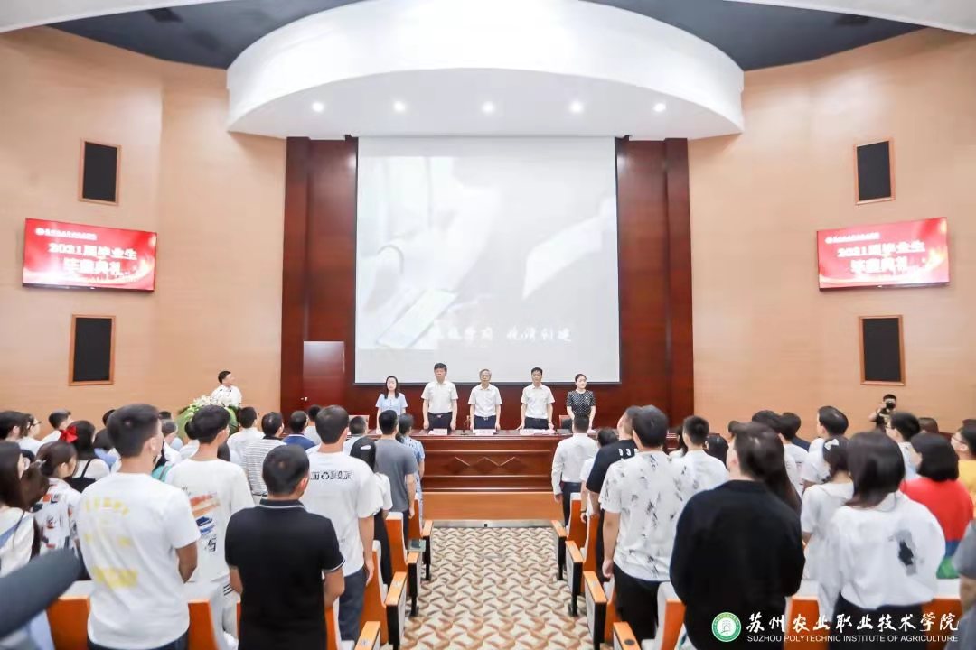 星空体育app注册入口最新版下载优秀