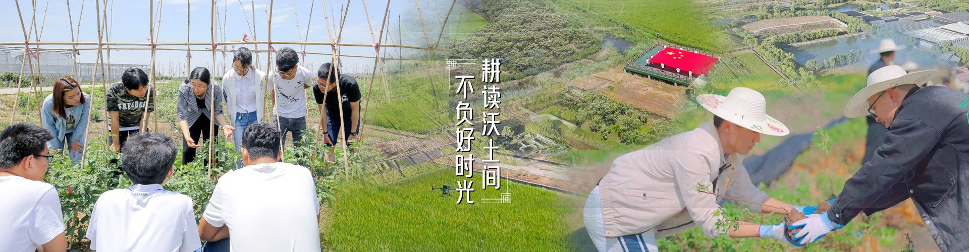 星空体育app注册入口召开“十五五”