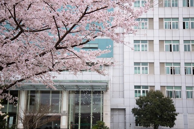 江苏省苏州市西园路279号 | 邮编
