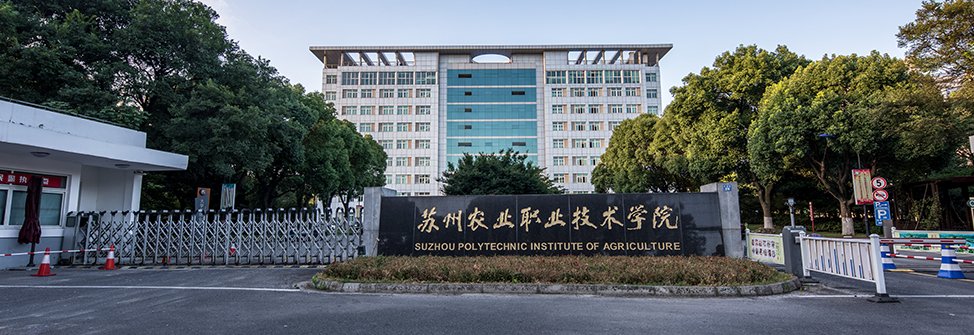 科技处 发布时间